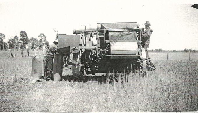 Laanecoorie Agriculture - Harvesting