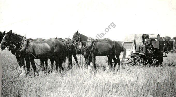 Laanecoorie Agriculture - Harvesting