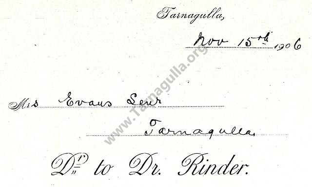 Rinder 1906