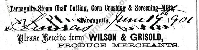 Wilson and Grisold 1901