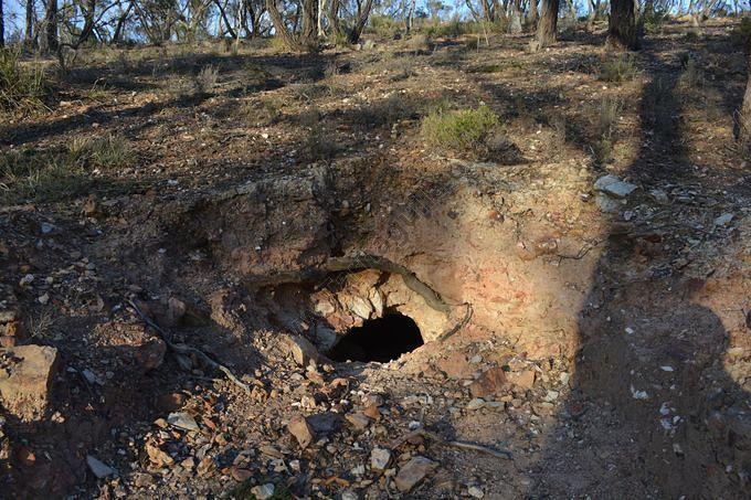 Sabbath Hill Tunnel, 2015