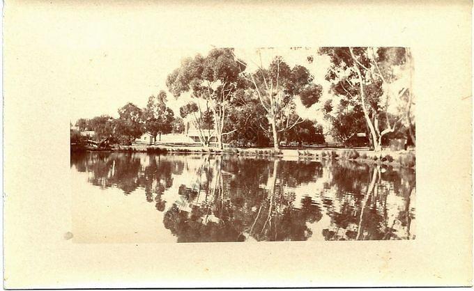 Company's Dam, Tarnagulla c 1909