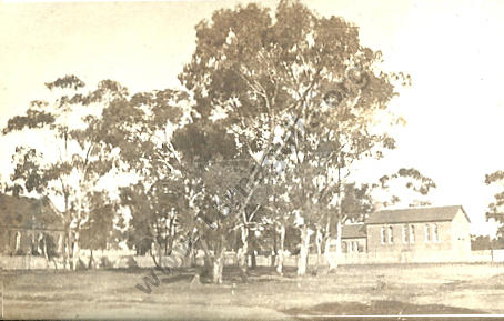 Court House Tarnagulla, c 1920